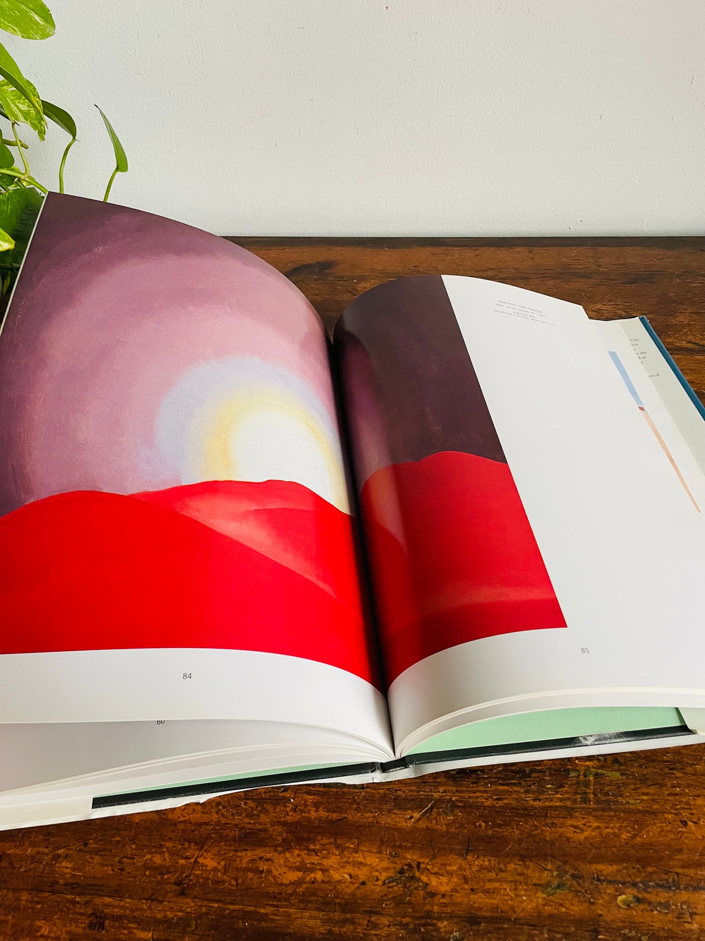 Vintage Georgia O'Keeffe Hardcover Coffee Table Book by Elizabeth Montgomery (1992)