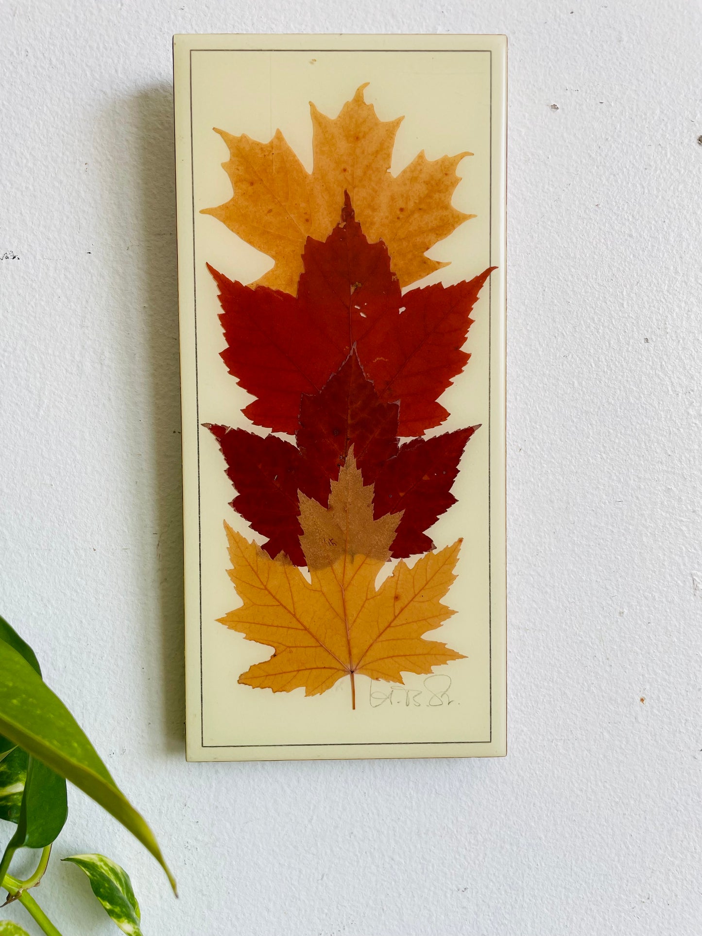 Vintage Henni Original Naturally Preserved Canadian Maple Leaves in Resin Picture - Artist Signed - Handmade in Canada