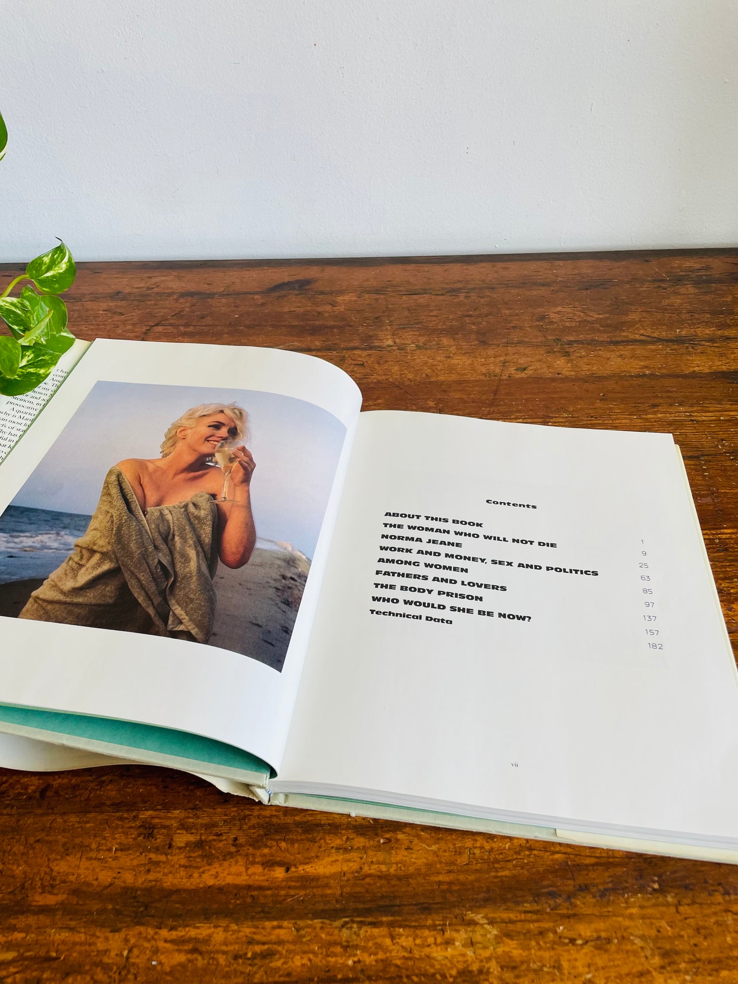 Vintage Marilyn: Norma Jeane Hardcover Coffee Table Book - Text By Gloria Steinem & Photographs By George Barris (1986)