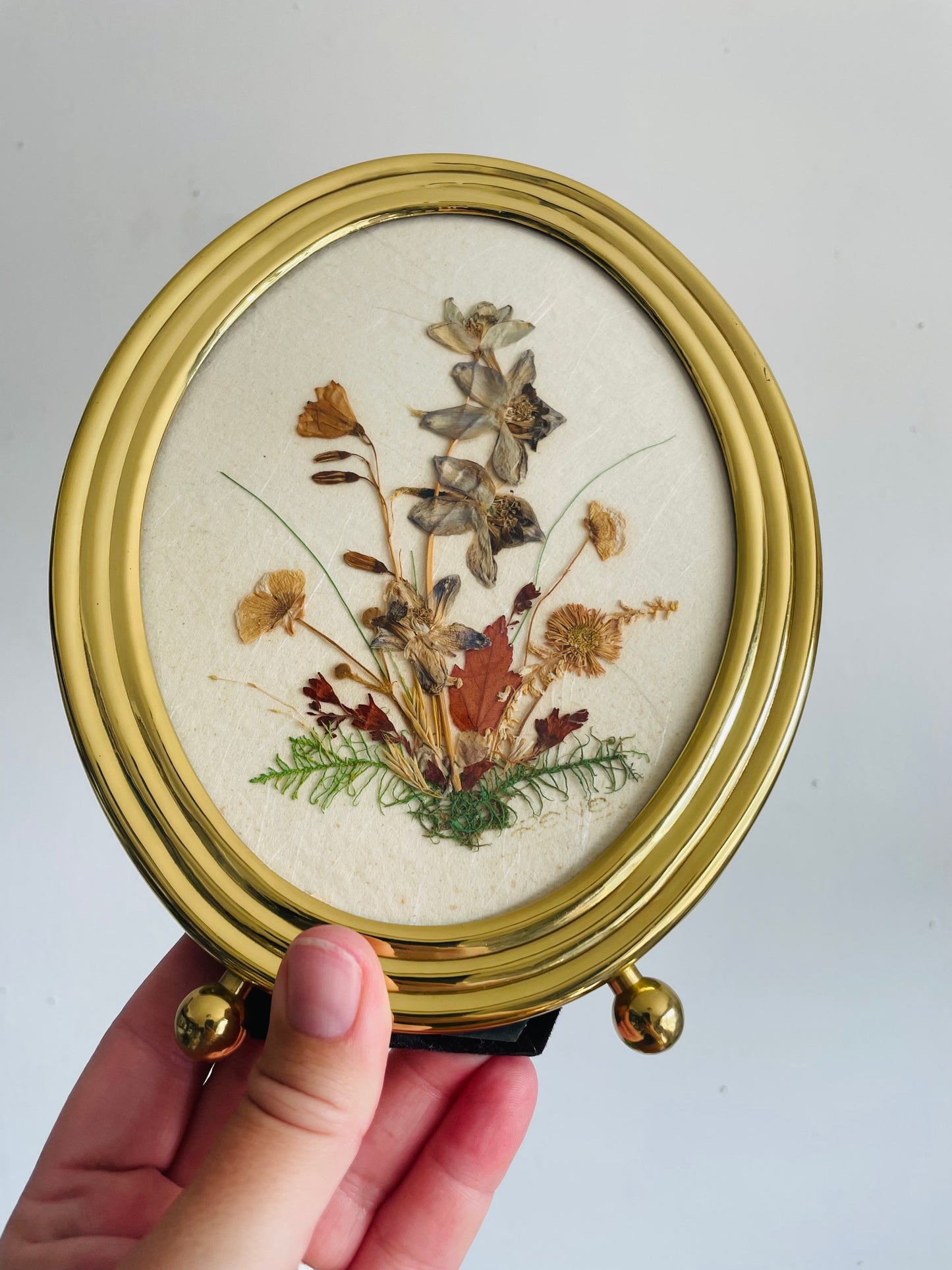 Vintage Dried & Pressed Canadian Wildflowers in Oval Brass Footed Frame from Kawartha Lakes Area, Ontario - Can Hang or Stand - Rene Crafts