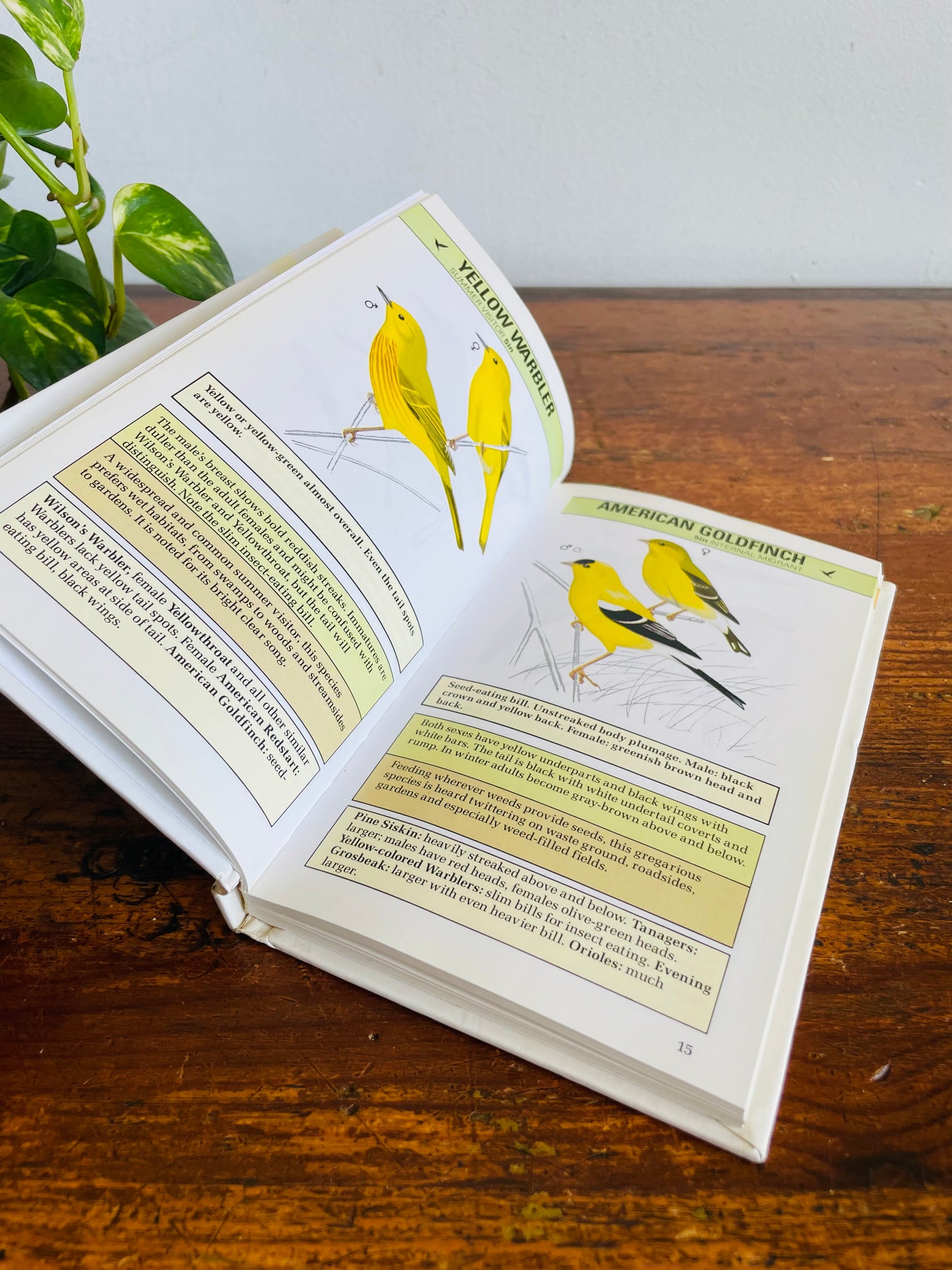 Vintage An Instant Guide to Birds Hardcover Book by Mike Lambert & Alan Pearson (1985)