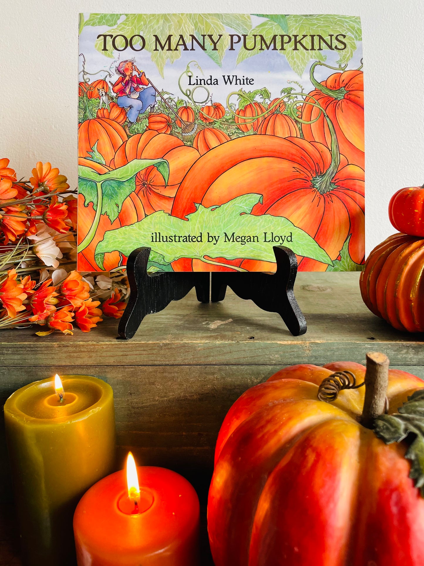 Too Many Pumpkins Book by Linda White & Megan Lloyd (1996)