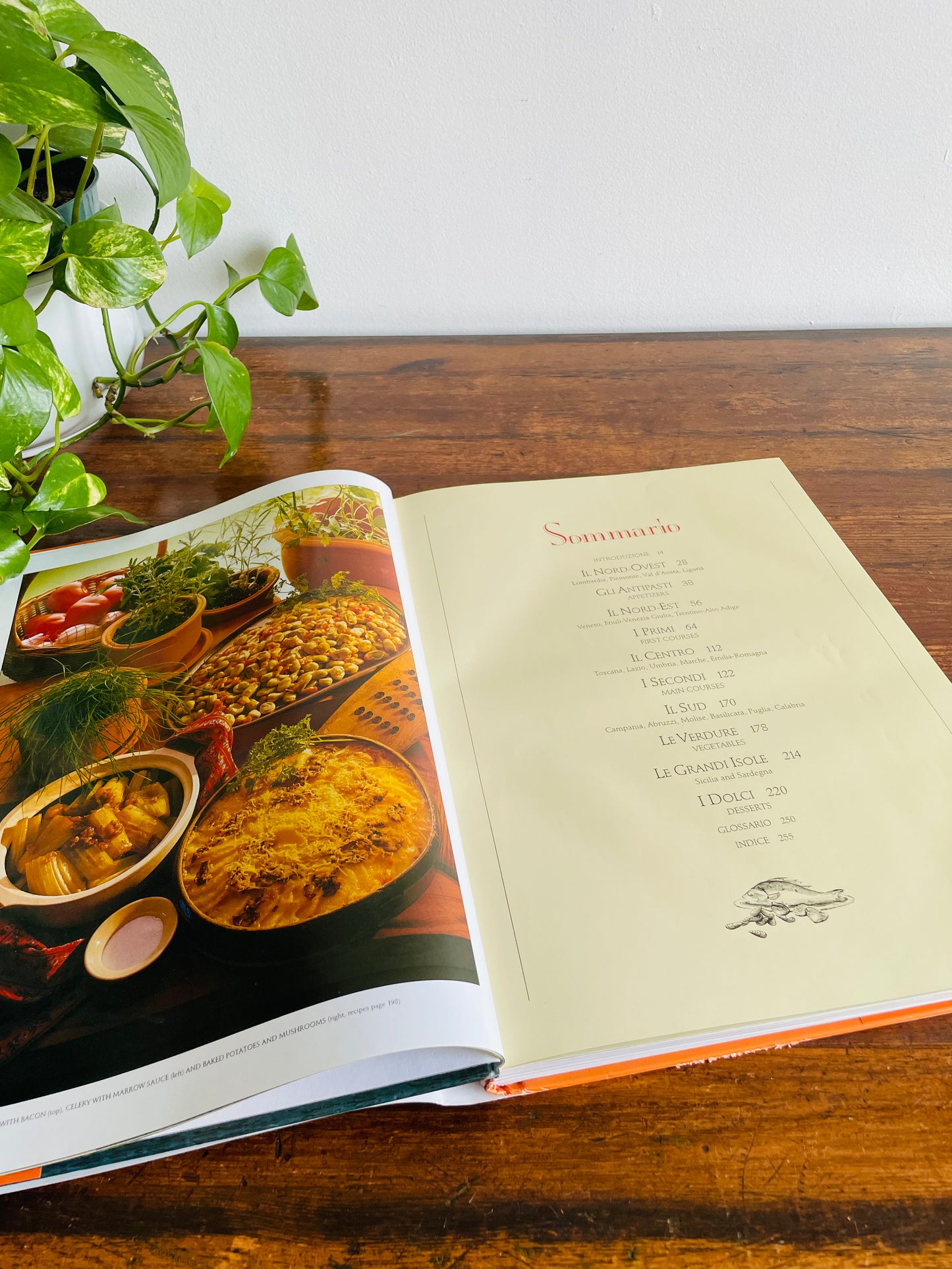 Italy: The Beautiful Cookbook - Giant Hardcover Book with Photos (1996)