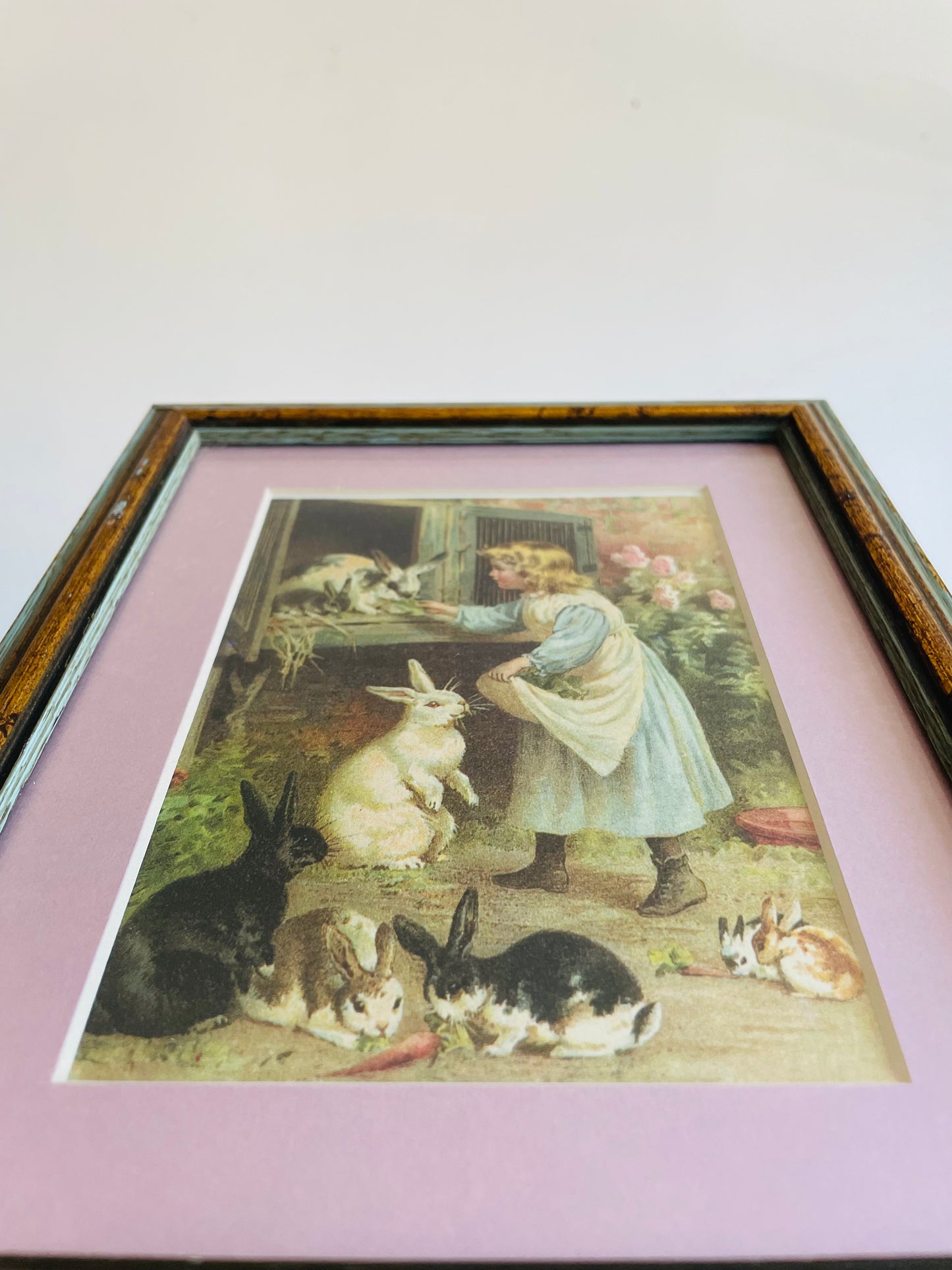 Vintage Print Picture of Little Girl Feeding Carrots to Rabbits - Adorable & Sweet!