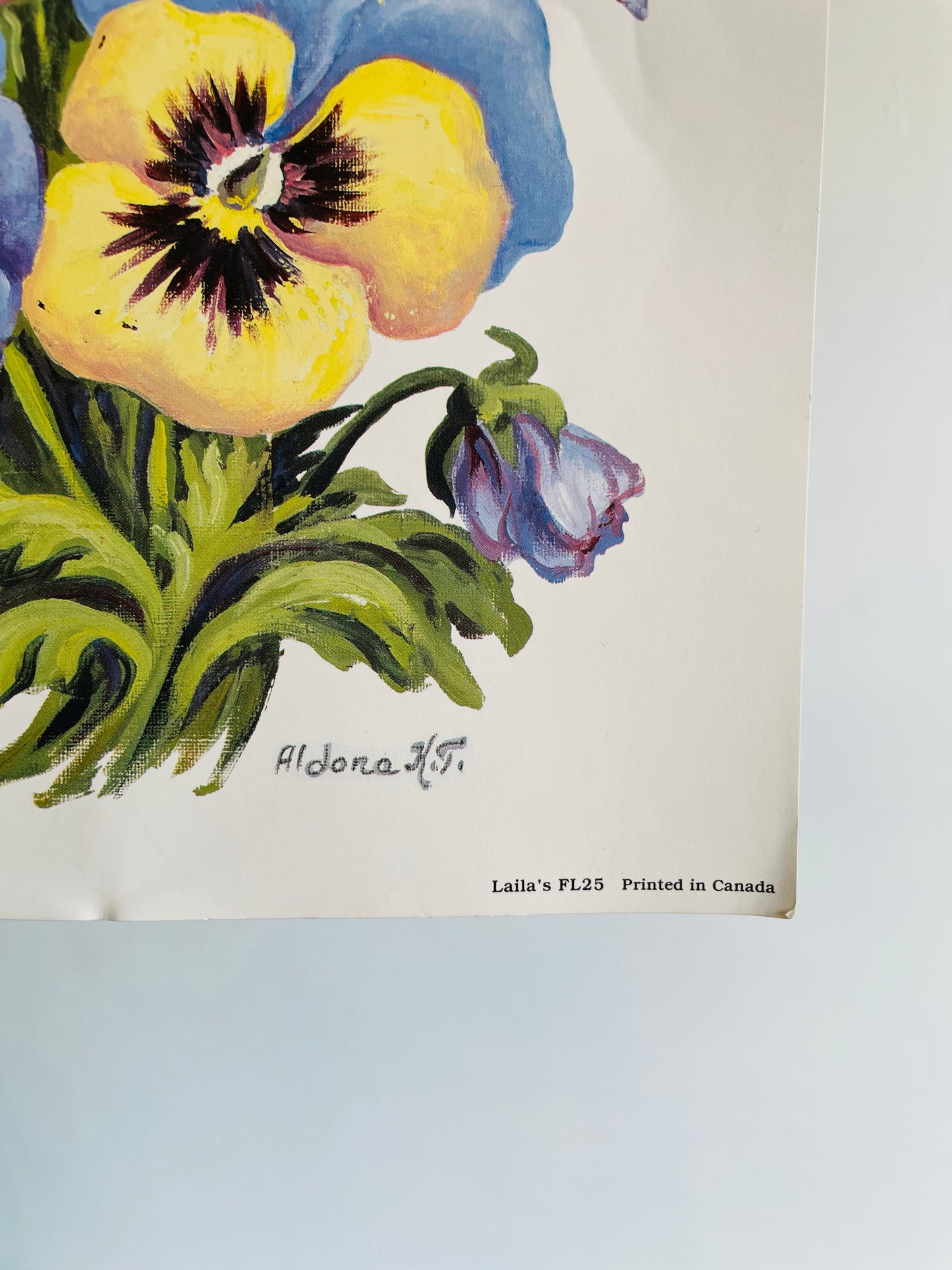 Pair of Pansies Poster Print - Ready for Framing! Printed in Canada (1986)