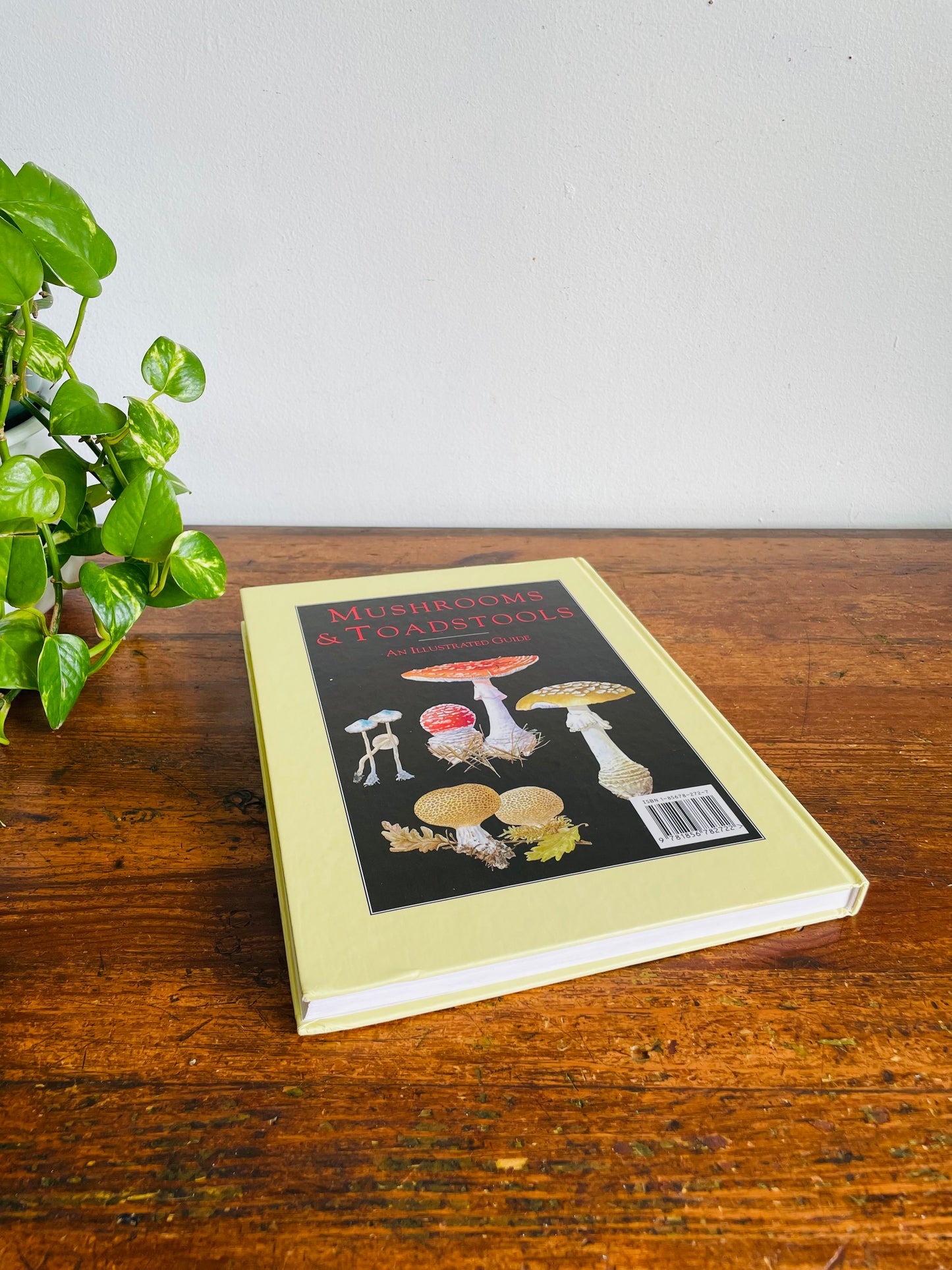 Vintage Mushrooms & Toadstools Illustrated Guide Hardcover Book by Jiří Baier (1995)