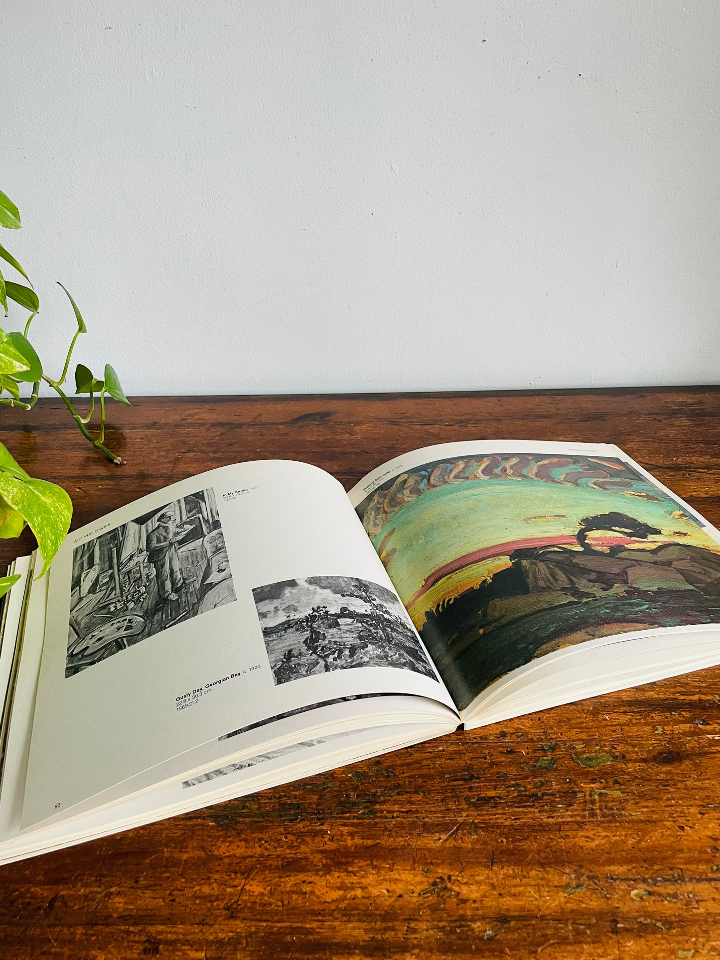 Vintage The McMichael Canadian Collection Art Book (1983)