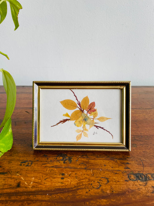 Pressed Dried Flowers in Brass Frame - Signed J.C. - Easel Prop for Standing