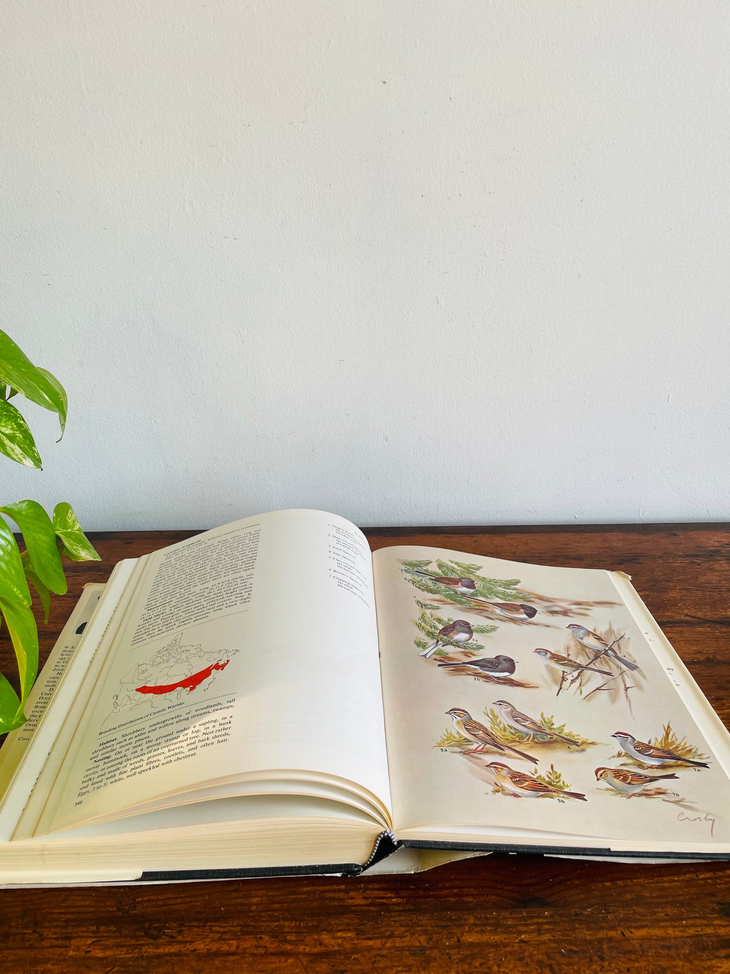 The Birds of Canada by W. Earl Godfrey - Clothbound Hardcover Book (1979)