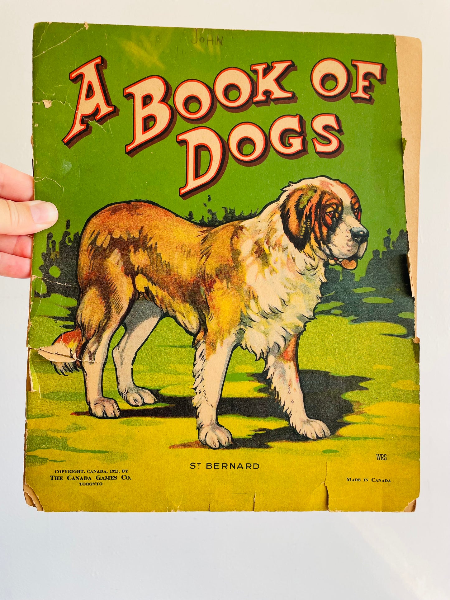 Antique A Book of Dogs - The Canada Games Co. (1921) - Fantastic Illustrations for Prints & Framing!