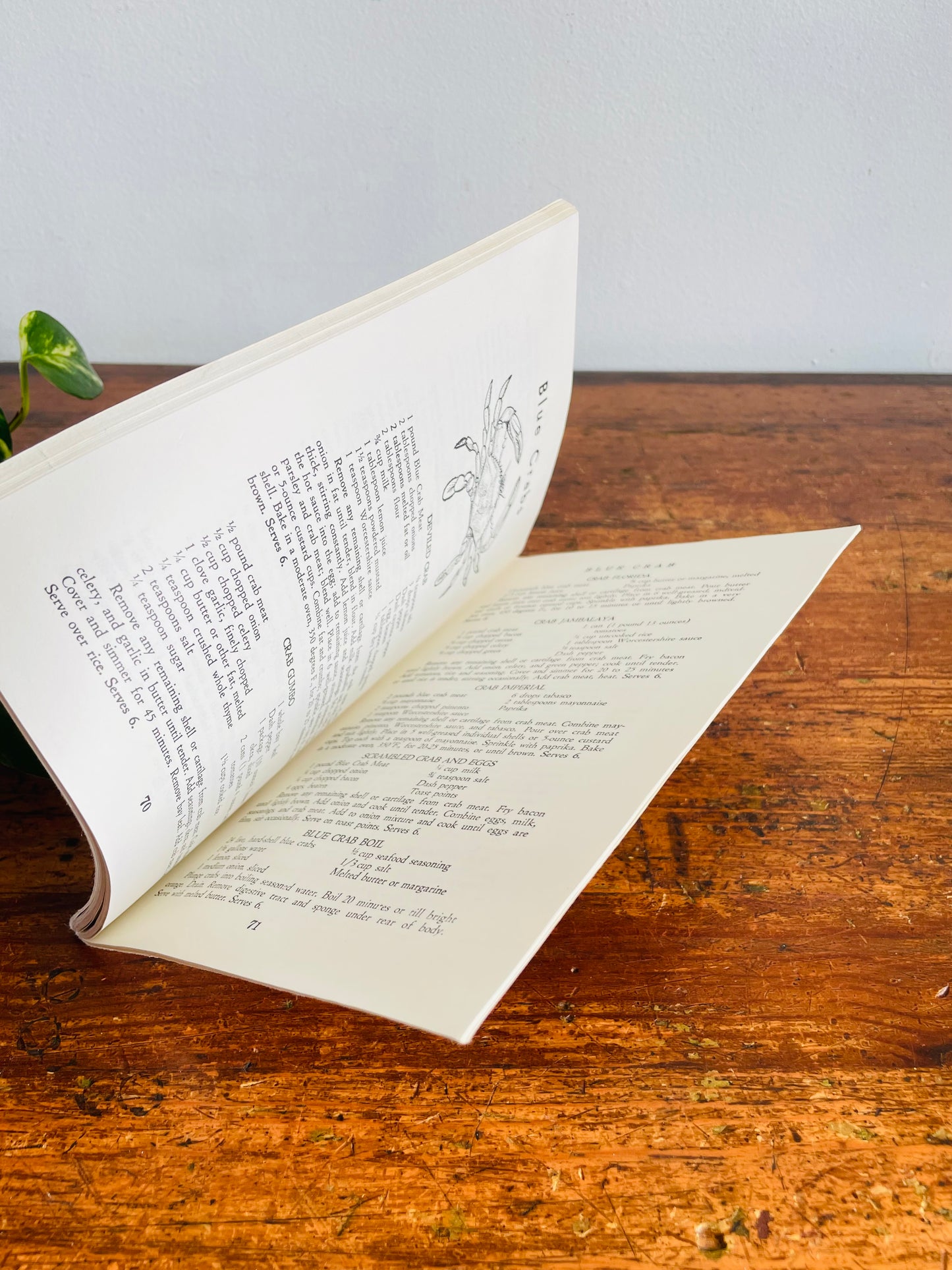 Vintage How To Cook Your Catch Softcover Recipe Cookbook by Rube Allyn (1982)