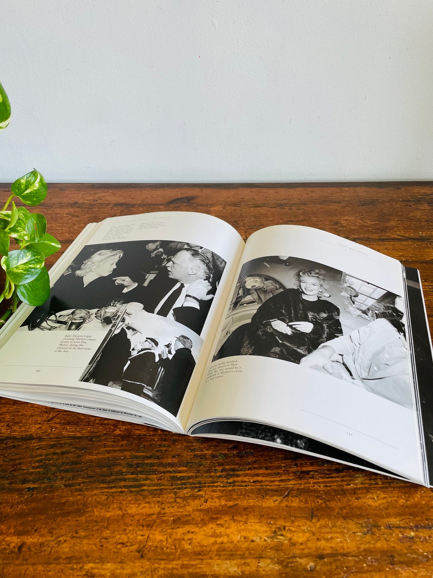 Vintage Marilyn: The Ultimate Look At The Legend Softcover Coffee Table Book by James Haspiel (1993)