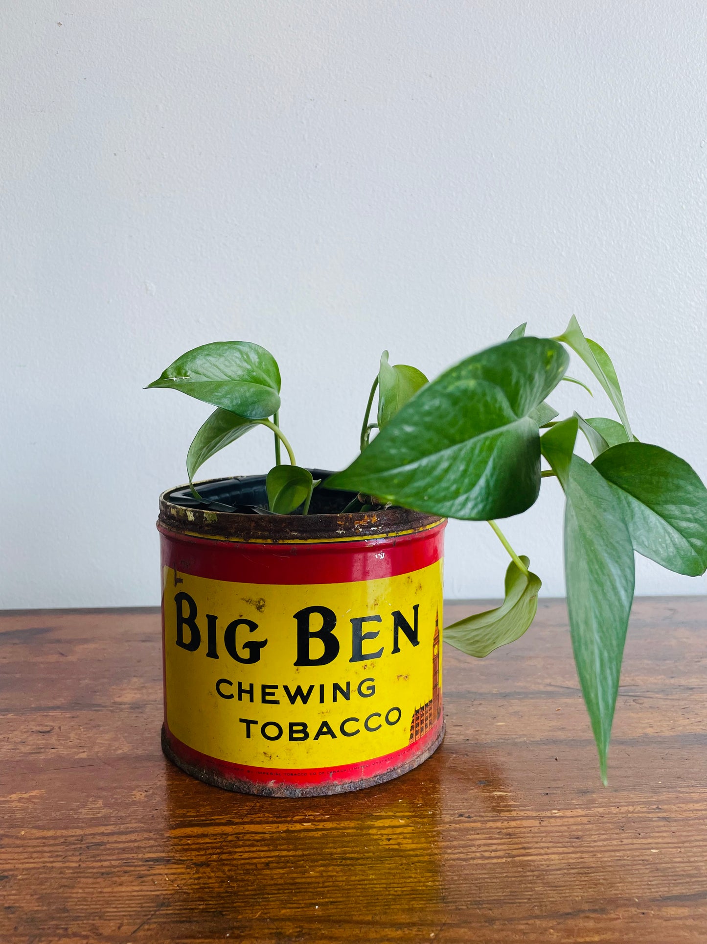 Big Ben Plug Chewing Tobacco Advertising Tin - Manufactured by Imperial Tobacco Co. of Canada Limited Montreal-Granby