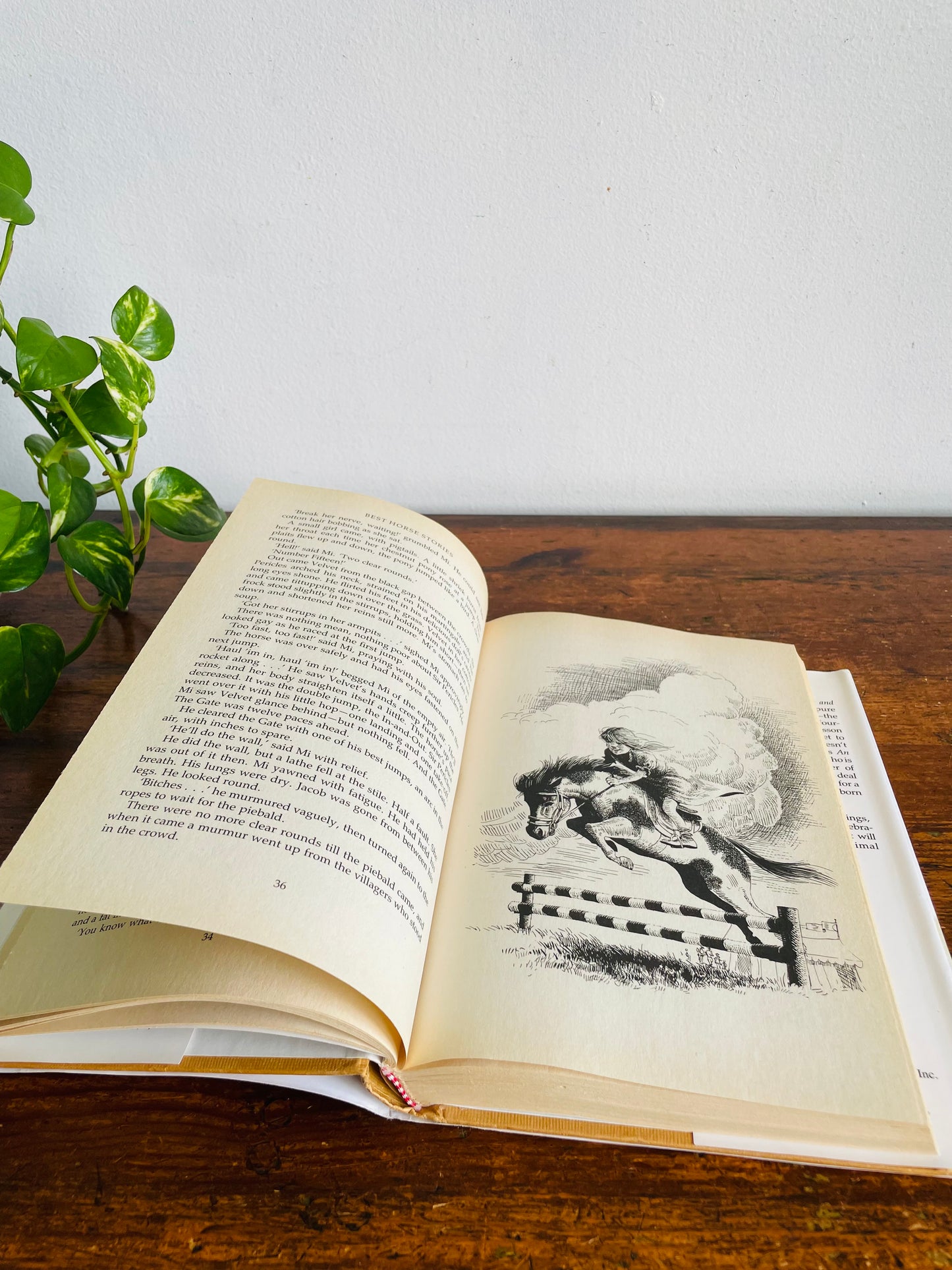 Vintage Best Horse Stories Hardcover Book Compiled by Lesley O'Mara - Dickens, Twain, Sewell, Herriot, Kipling, & More (1991)