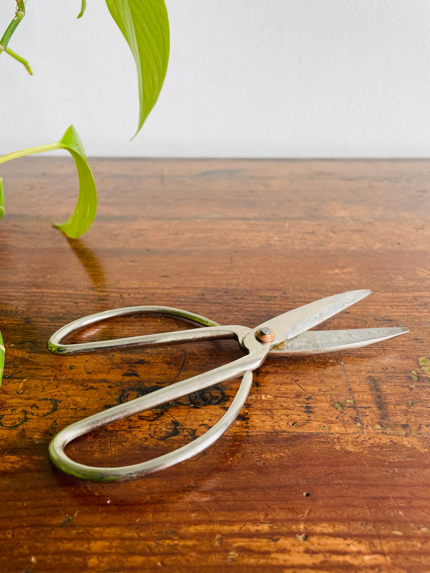 Bonsai Scissors - Gardening, Crafts, Sewing, Etc.