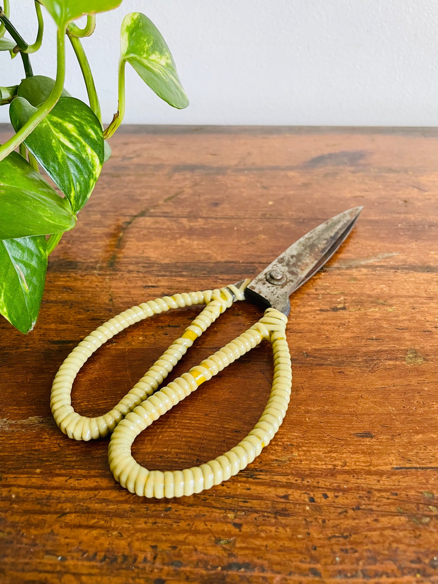 Vintage Metal Scissor Shears