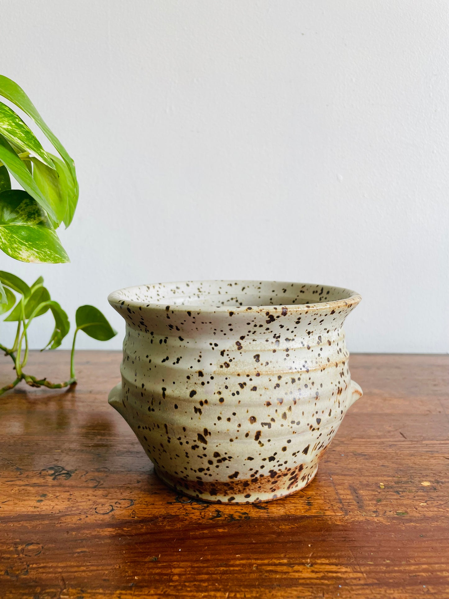 Studio Pottery Speckled Planter Pot with Groove Handles