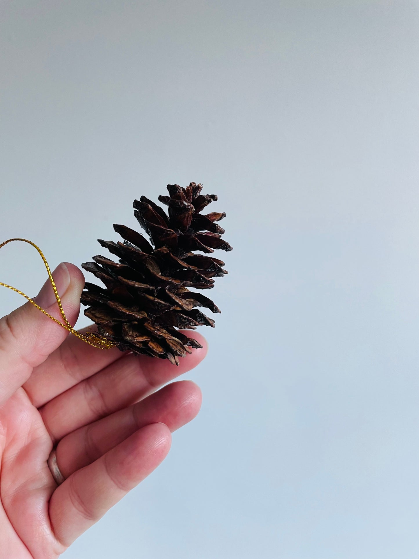 Pinecone Ornaments - Set of 9