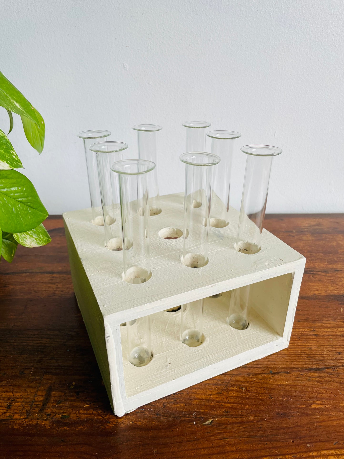 Handmade Wood Propagation Station with 8 Glass Test Tube Inserts