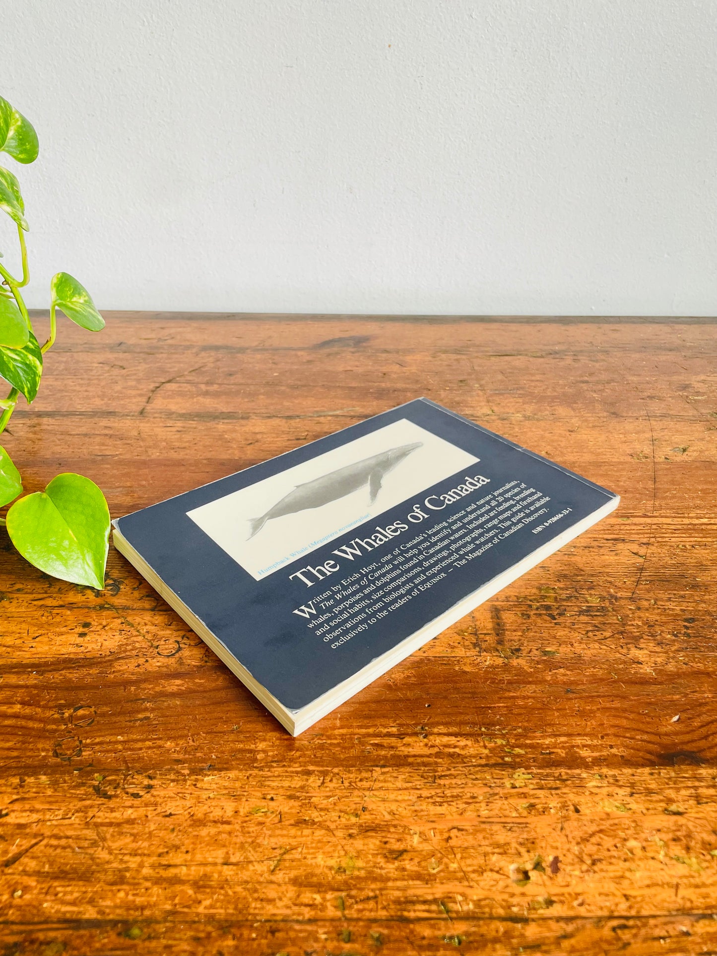 Vintage The Whales In Canada Softcover Book by Erich Hoyt - An Equinox Wildlife Handbook (1988)