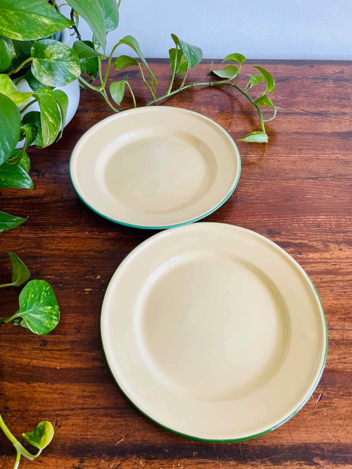 Vintage Goldfish & Peacock Brand Enamelware Plates - Pale Yellow with Green Rims - Set of 2