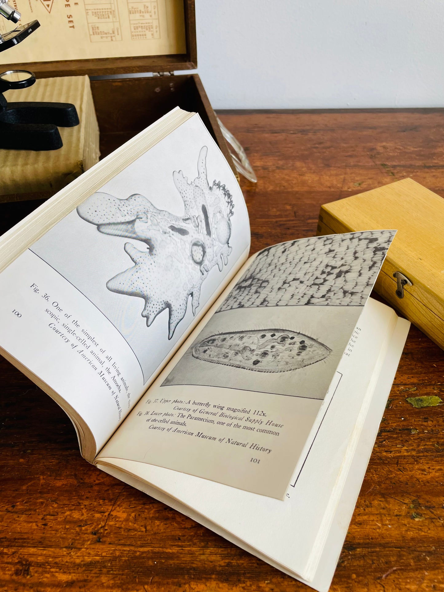 1956 SPI No. 1827 Deluxe Microscope Set in Carry Case - Includes Slides & Book - Made in Japan