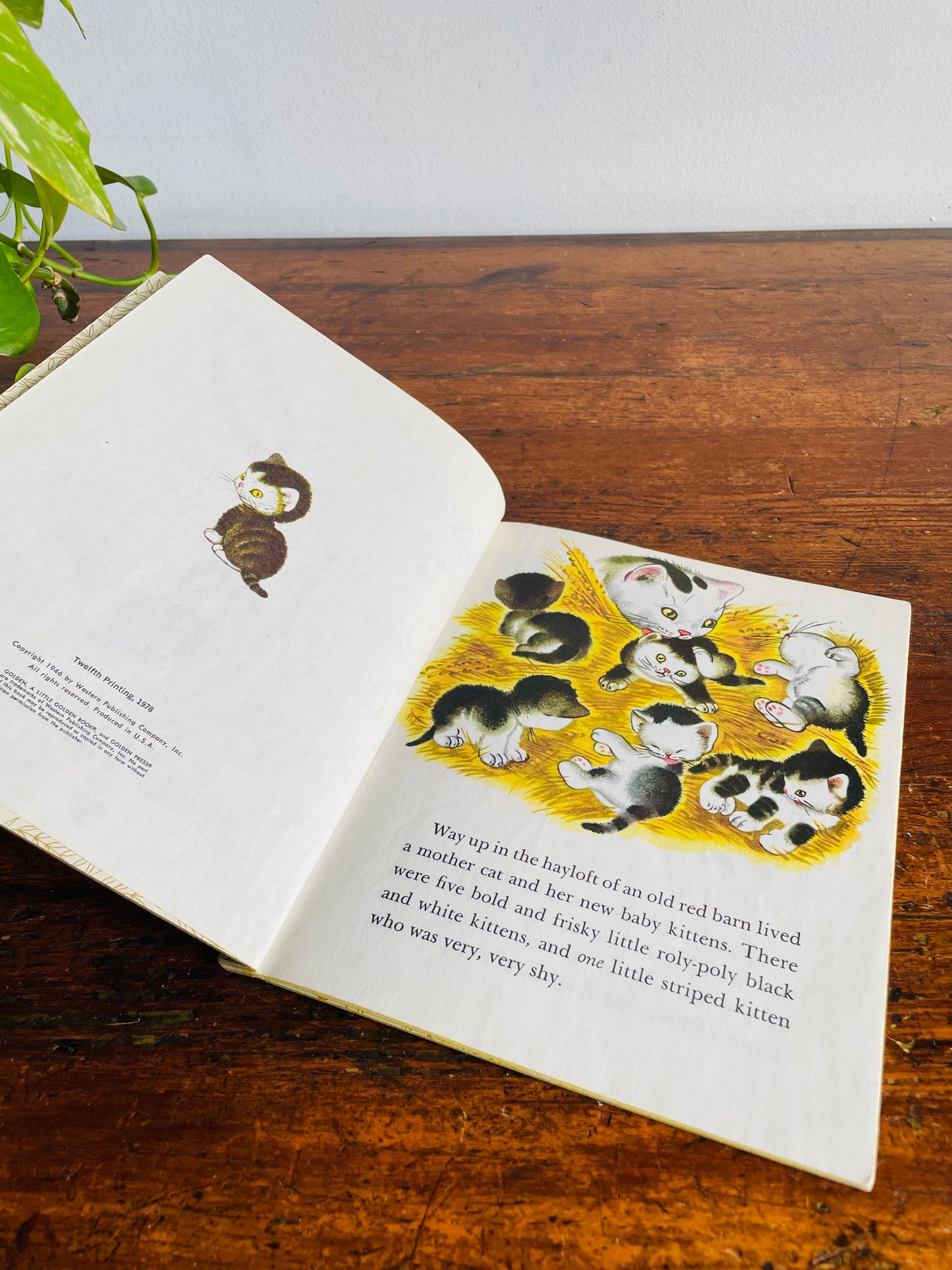 Vintage A Little Golden Book - The Shy Little Kitten - Hardcover (1978)