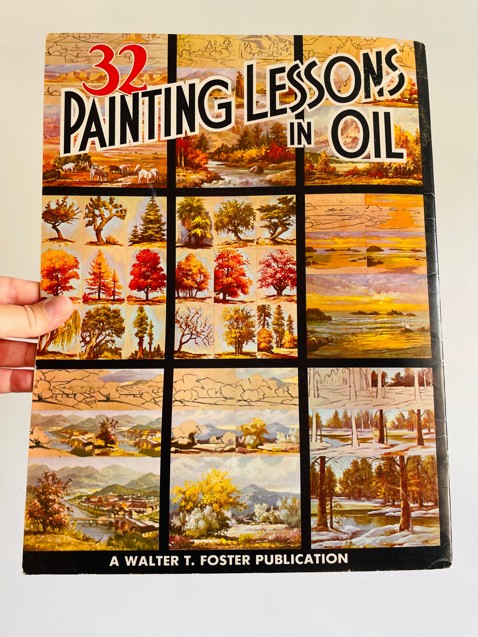 Walter T. Foster Art Book #113 - 32 Painting Lessons in Oil: The Desert,  Mountains, Skies, Lakes, Ocean, and Trees