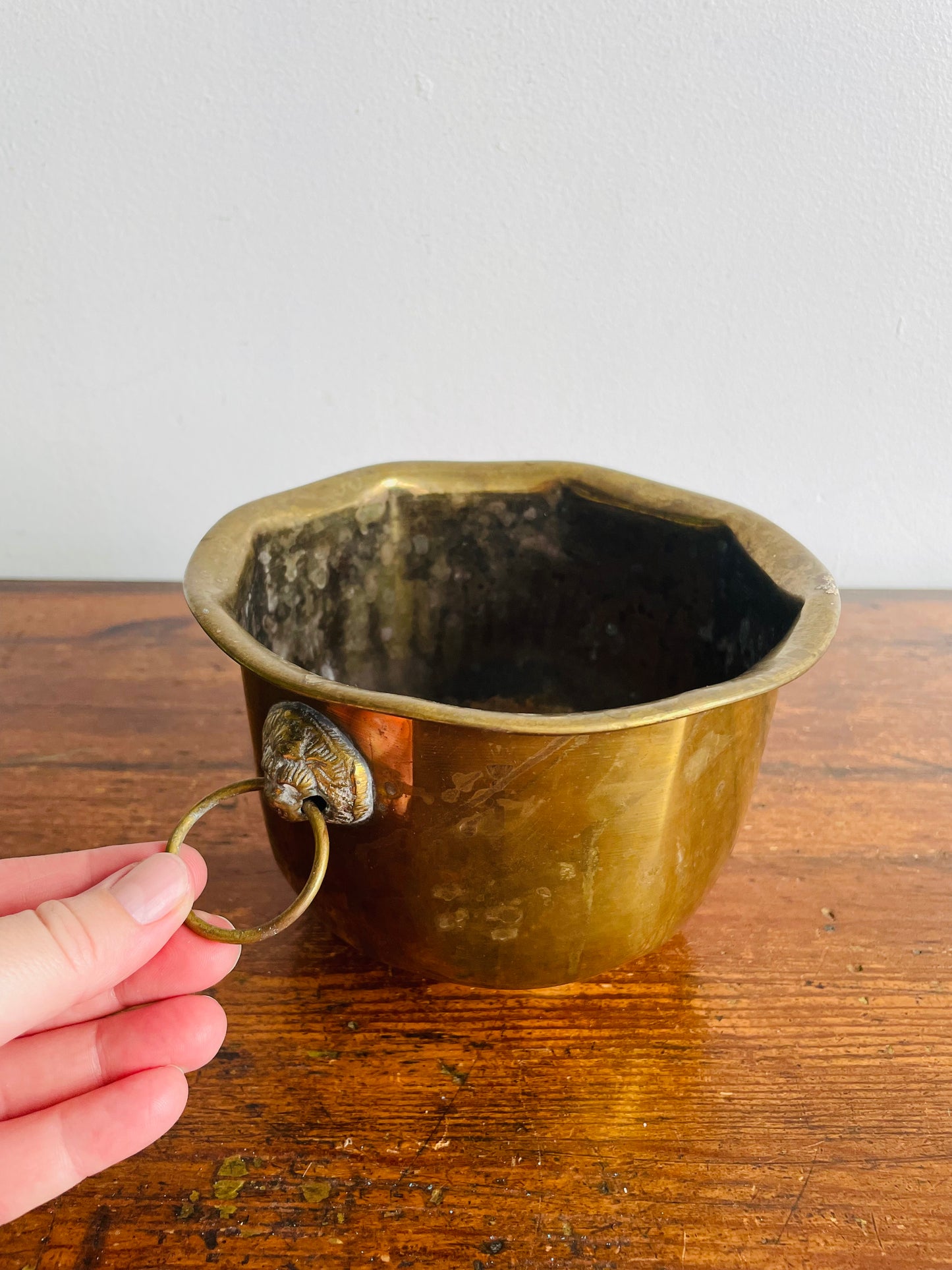 Brass Planter Pot with Lion Head Handles - Made in India