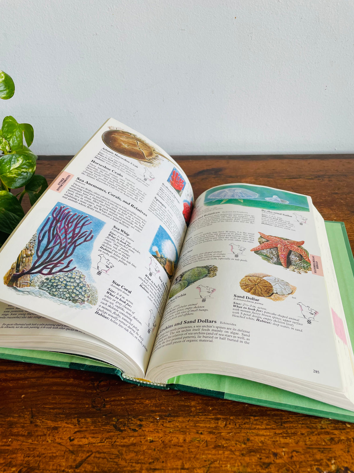 Vintage Reader's Digest North American Wildlife Hardcover Nature Guide Book with Illustrations (1982)