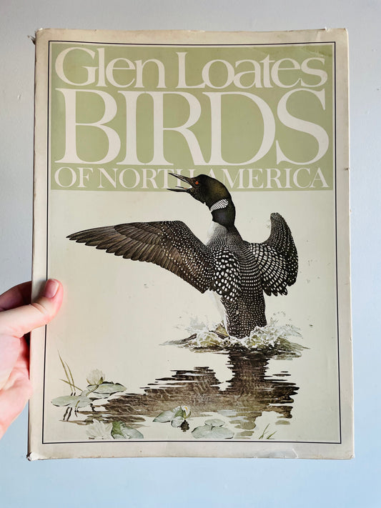 Glen Loates Birds of North America Hardcover Coffee Table Book (1979)