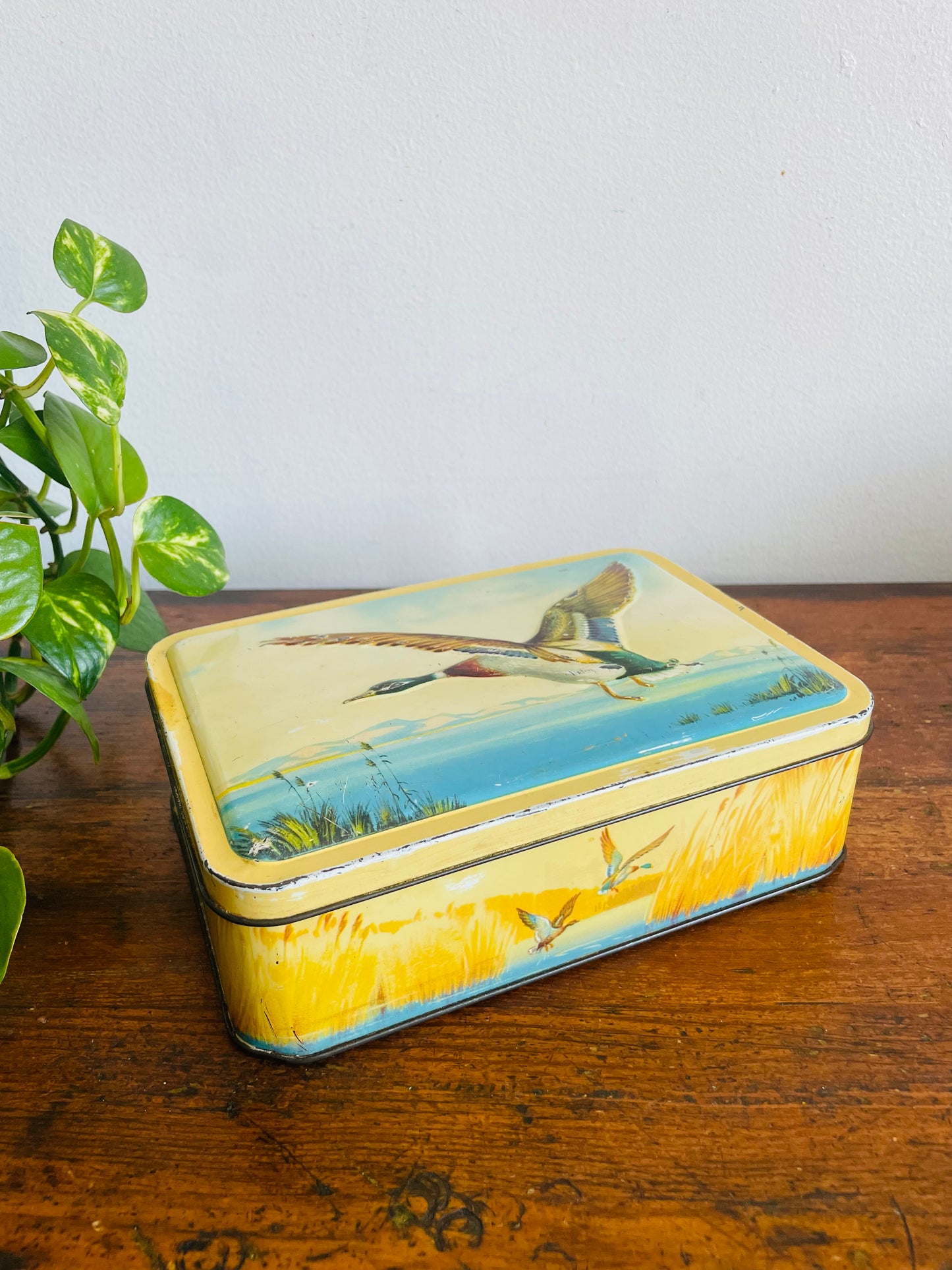 Vintage Tin Container with Flying Duck Bird Over Lake & Mountains Design - MacFarlane Lang & Co's Biscuits