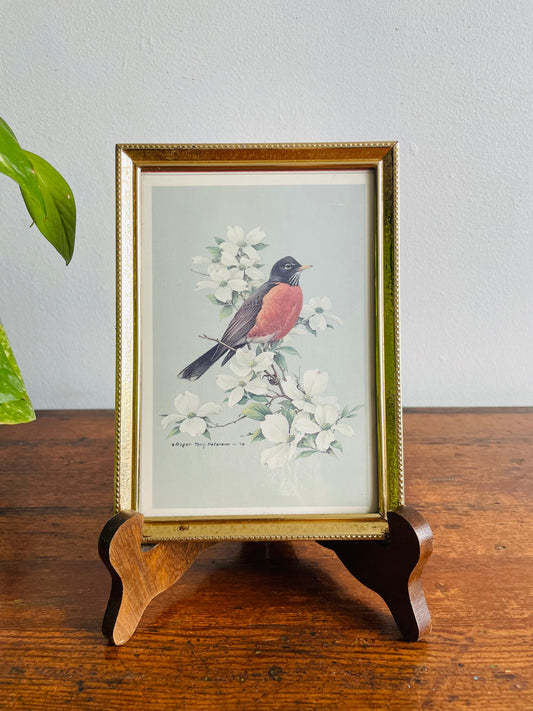 Robin Bird & Flowers Print in Brass Frame - Roger Tory Peterson 1978