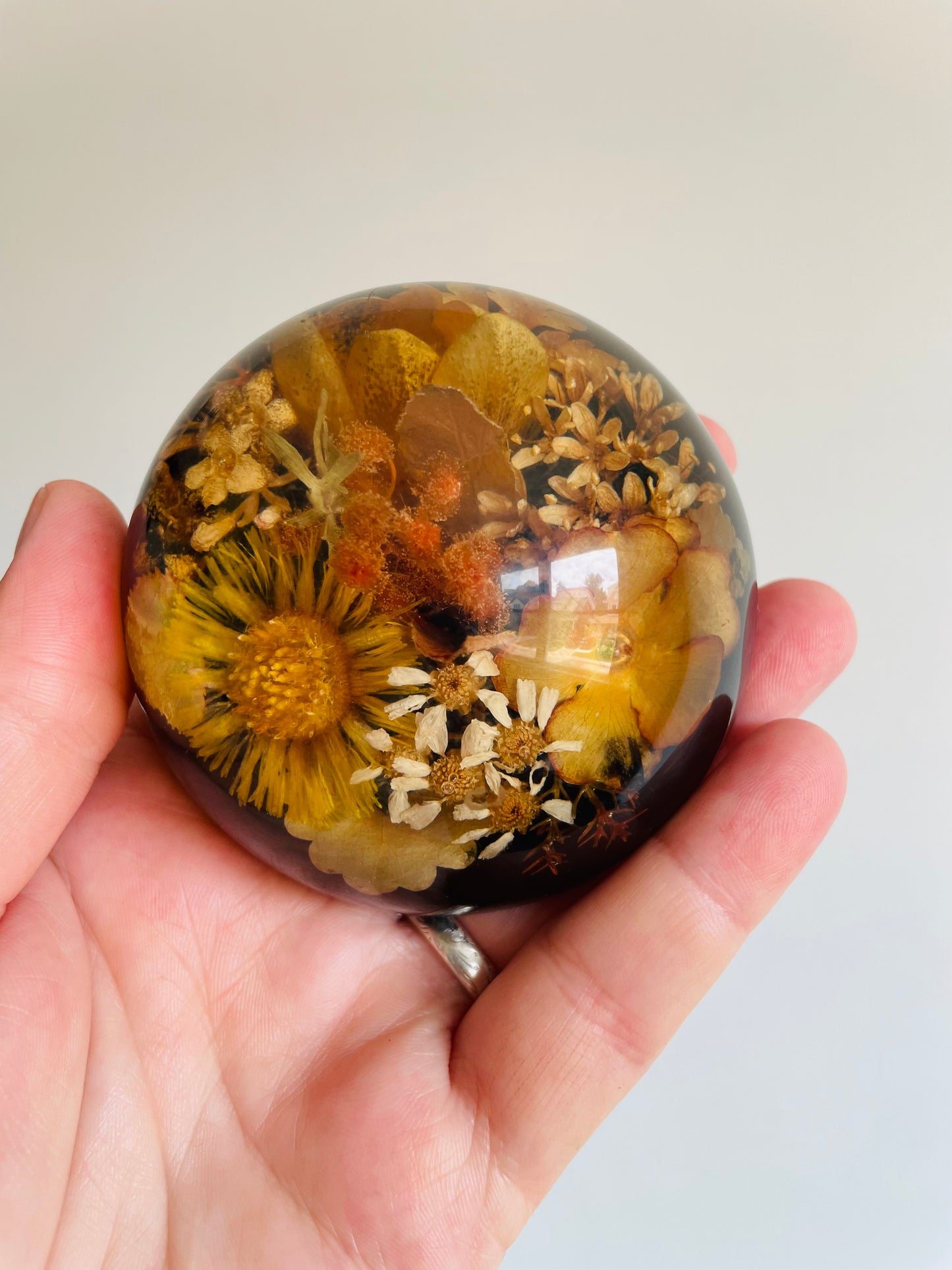 Preserved Dried Flowers Lucite Paperweight