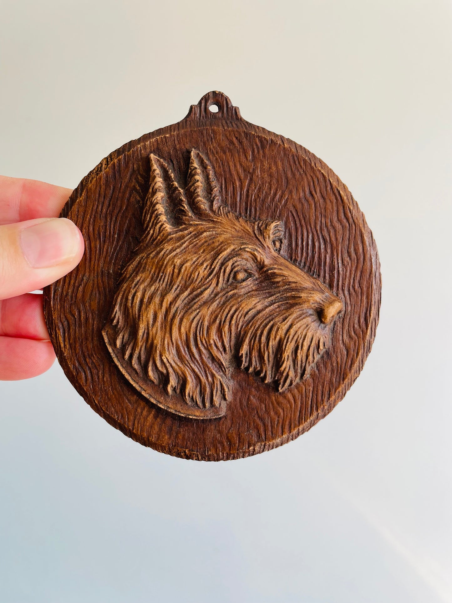 Carved Resin Wall Plaque Picture of Scruffy Terrier Dog