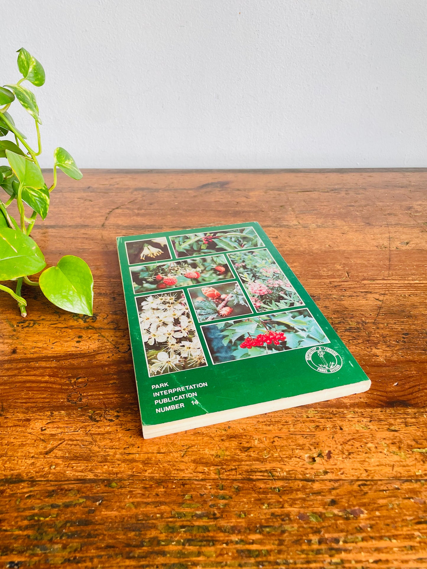 Vintage Native Trees And Shrubs of Newfoundland And Labrador Softcover Book by A. Glen Ryan (1978)