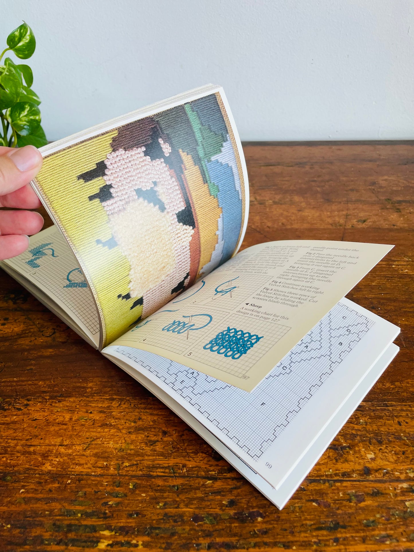 Vintage The New Anchor Book of Canvaswork Stitches and Patterns Softcover Book by Eve Harlow (1991)