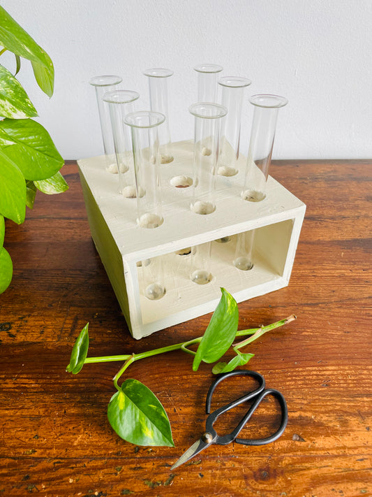 Handmade Wood Propagation Station with 8 Glass Test Tube Inserts