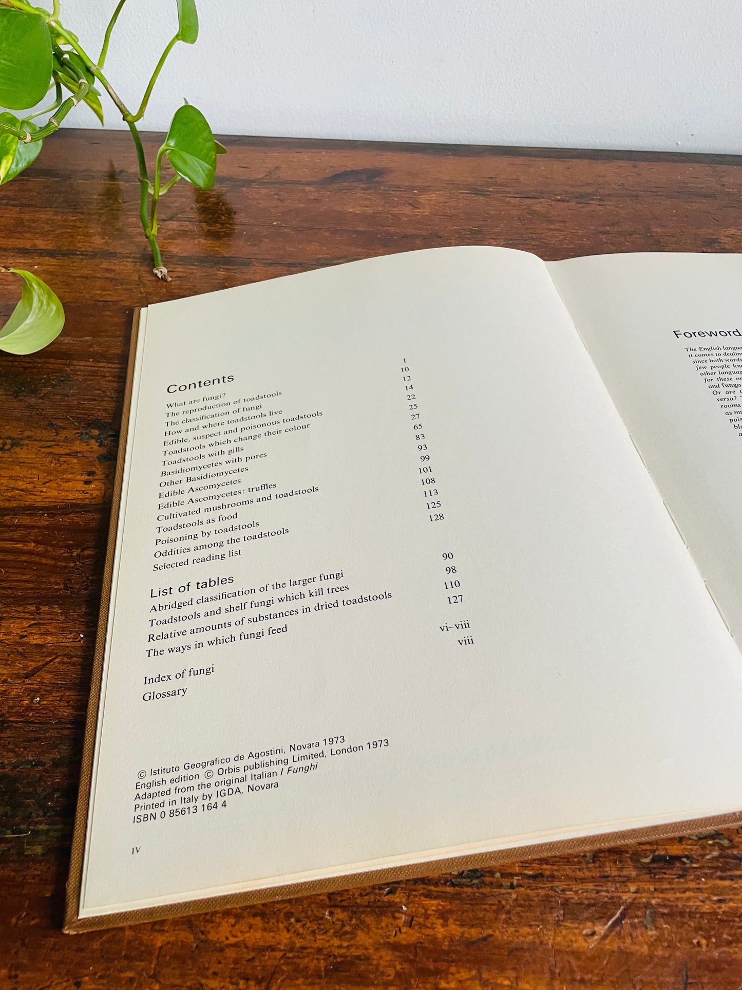 Vintage The World of Mushrooms Hardcover Coffee Table Book - Adapted from the Italian of Uberto Tosco (1973)