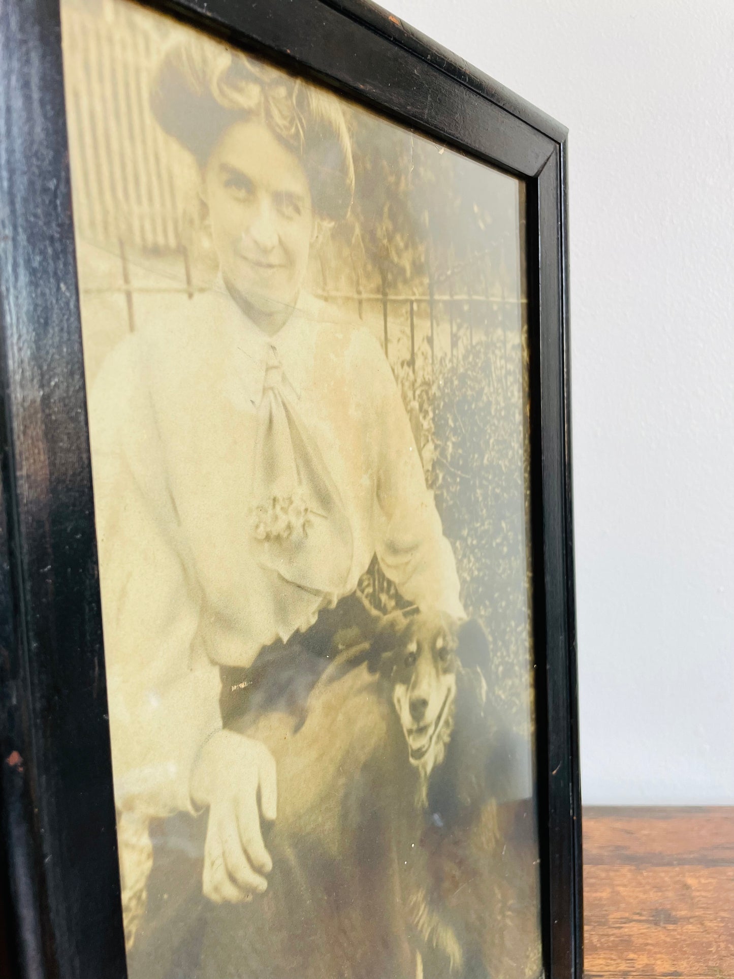 Antique Framed Sepia Photograph Picture of a Woman & Her Dog - Late 1800s / Early 1900s