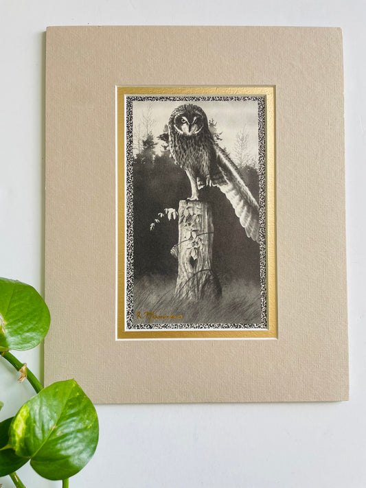 Vintage Black & White Photograph Print Picture of Owl on Tree Trunk with Forest Background - 8” x 10” - Matted & Ready to Frame