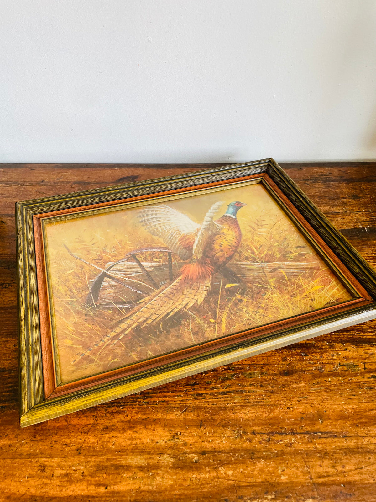 Vintage Print Picture of a Wild Pheasant Bird in Wood Frame - A Windsor Art Product - No Shipping