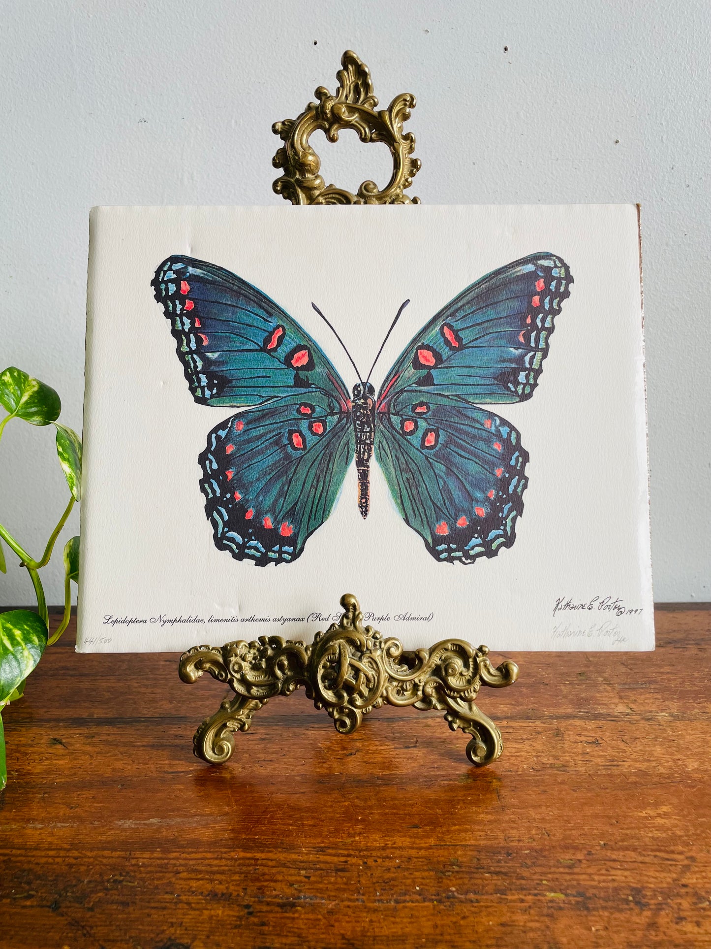 Vintage 1997 Pencil Signed & Numbered Print of Red-Spotted Purple Butterfly by Niagara Artist Katharine E. Porter #1