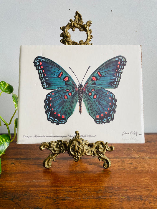Vintage 1997 Pencil Signed & Numbered Print of Red-Spotted Purple Butterfly by Niagara Artist Katharine E. Porter #1