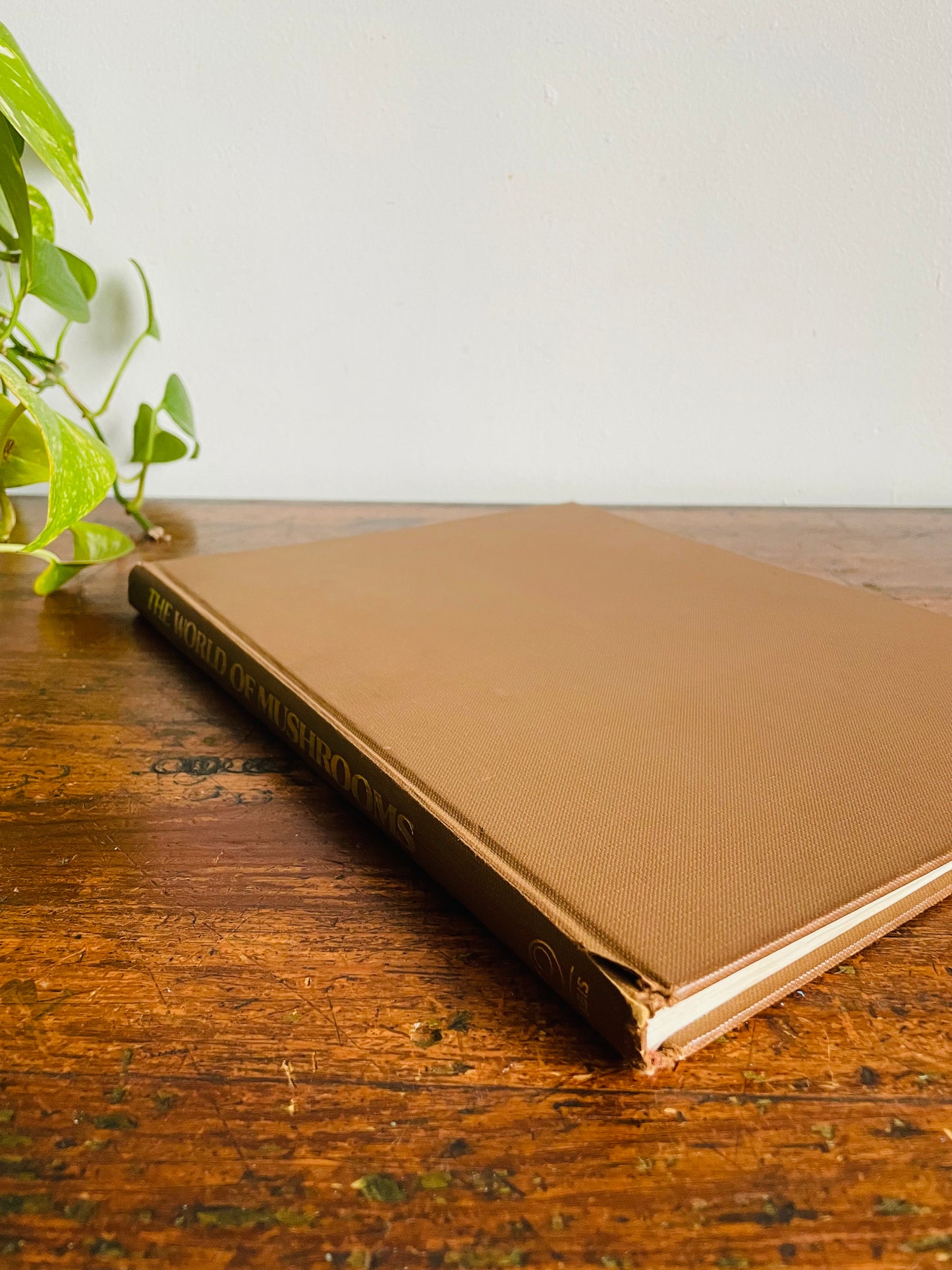 Vintage The World of Mushrooms Hardcover Coffee Table Book - Adapted from the Italian of Uberto Tosco (1973)