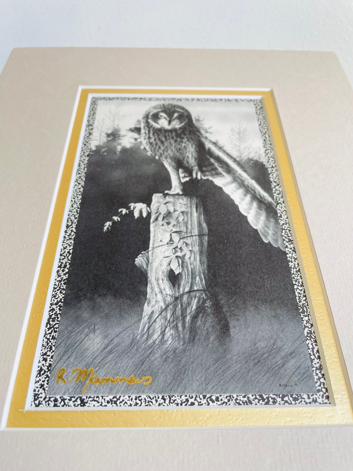 Vintage Black & White Photograph Print Picture of Owl on Tree Trunk with Forest Background - 8” x 10” - Matted & Ready to Frame