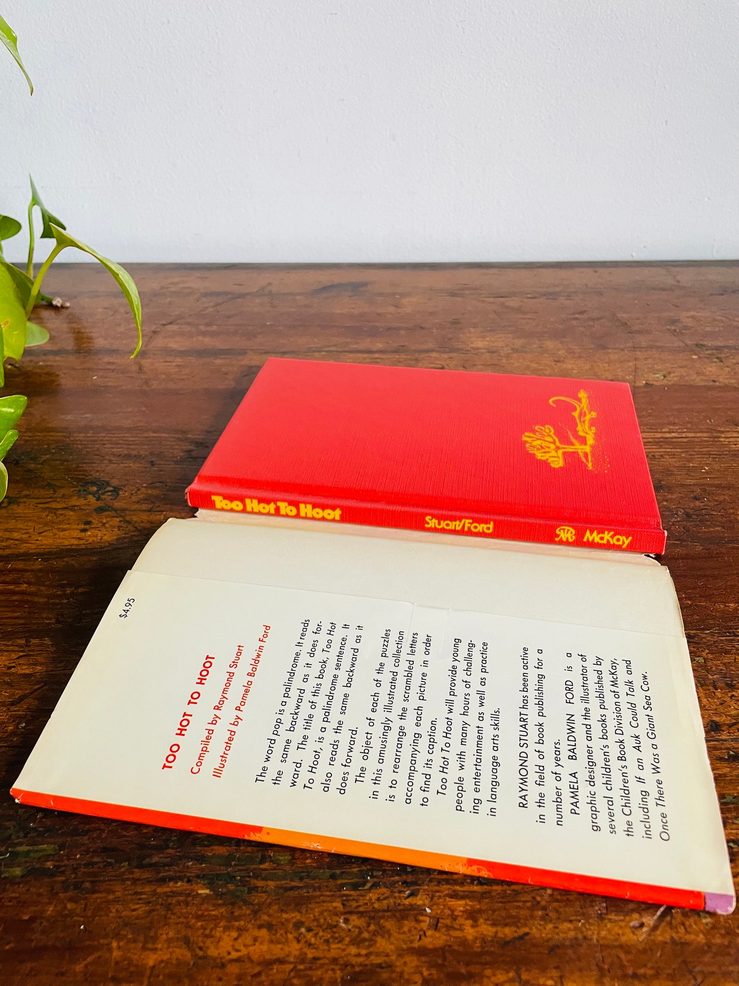 Vintage Too Hot to Hoot: The Palindrome Puzzle Hardcover Book by Raymond Stuart & Pictures by Pamela Ford (1977)