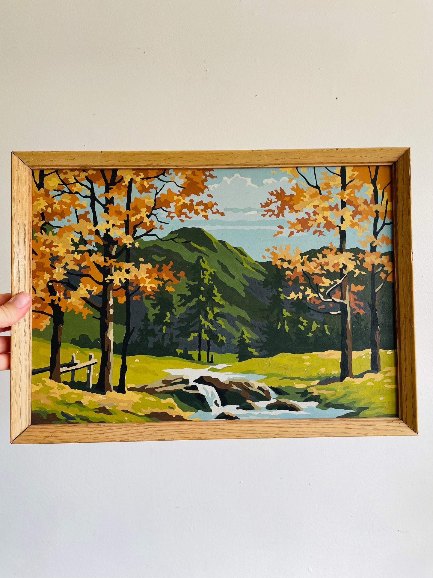 Vintage 1960s Paint by Number (PBN) Picture in Wood Frame of Mountain Landscape Scene with River & Fall Foliage - 11" x 15"