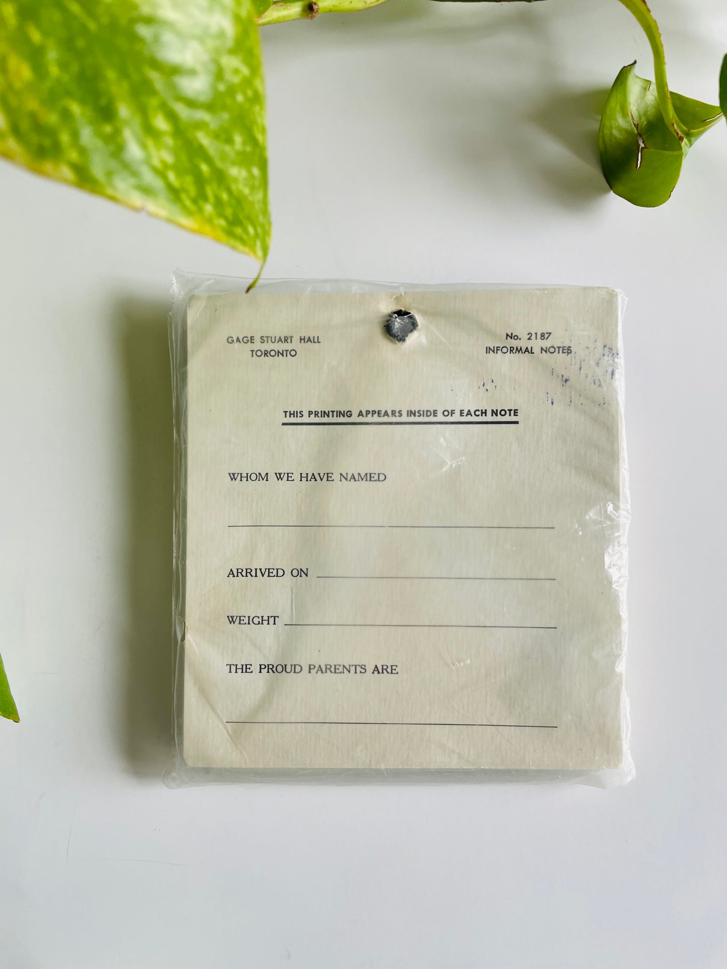 Vintage Brand New Package of 10 Cards - It's A Boy! - Gage Stuart Hall Toronto Notes for All Occasions