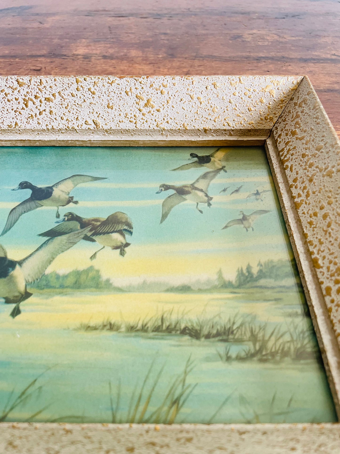 Framed Lithograph Print of Ducks in Flight & Landing in Pond (1958)